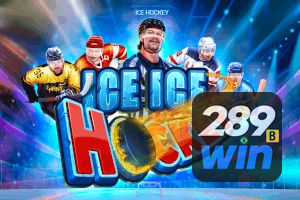 289BET feedback — categorias de sugestão e melhoria no app