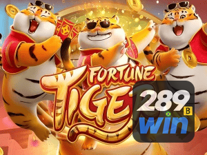 Guia install APK 289BET BR