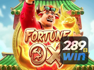 289BET login — painel de entrada no app oficial